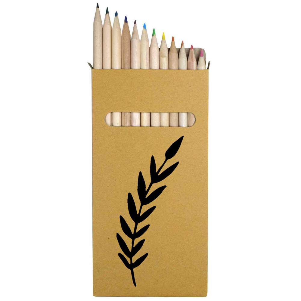 12 x 'Fern Leaf' Long 178mm Coloured Pencils / Pencil Set (PE00009872)