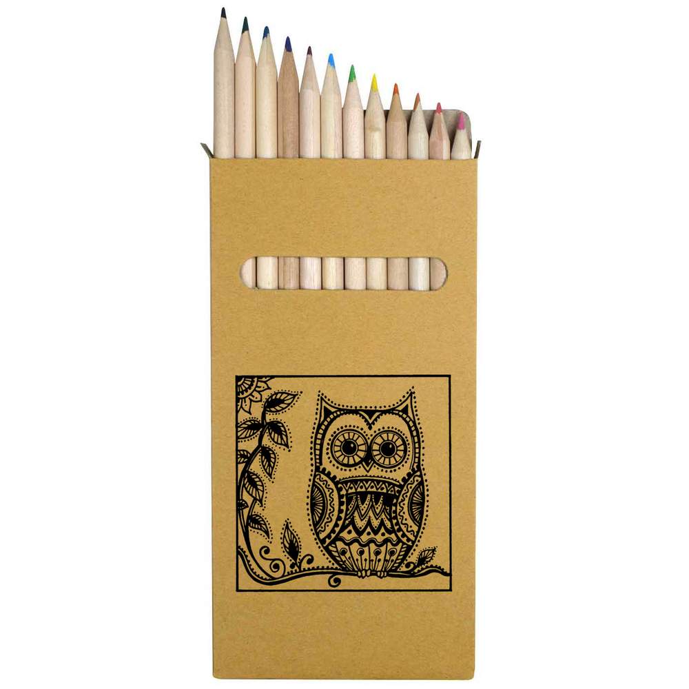 12 x 'Owl On Tree Branch' Long 178mm Coloured Pencils / Pencil Set (PE00011782)