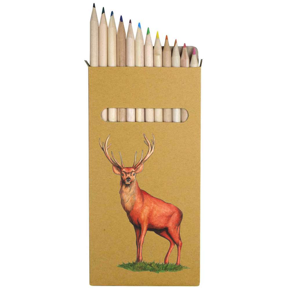 12 x 'Red Deer Stag' Long 178mm Coloured Pencils / Pencil Set (PE00018684)