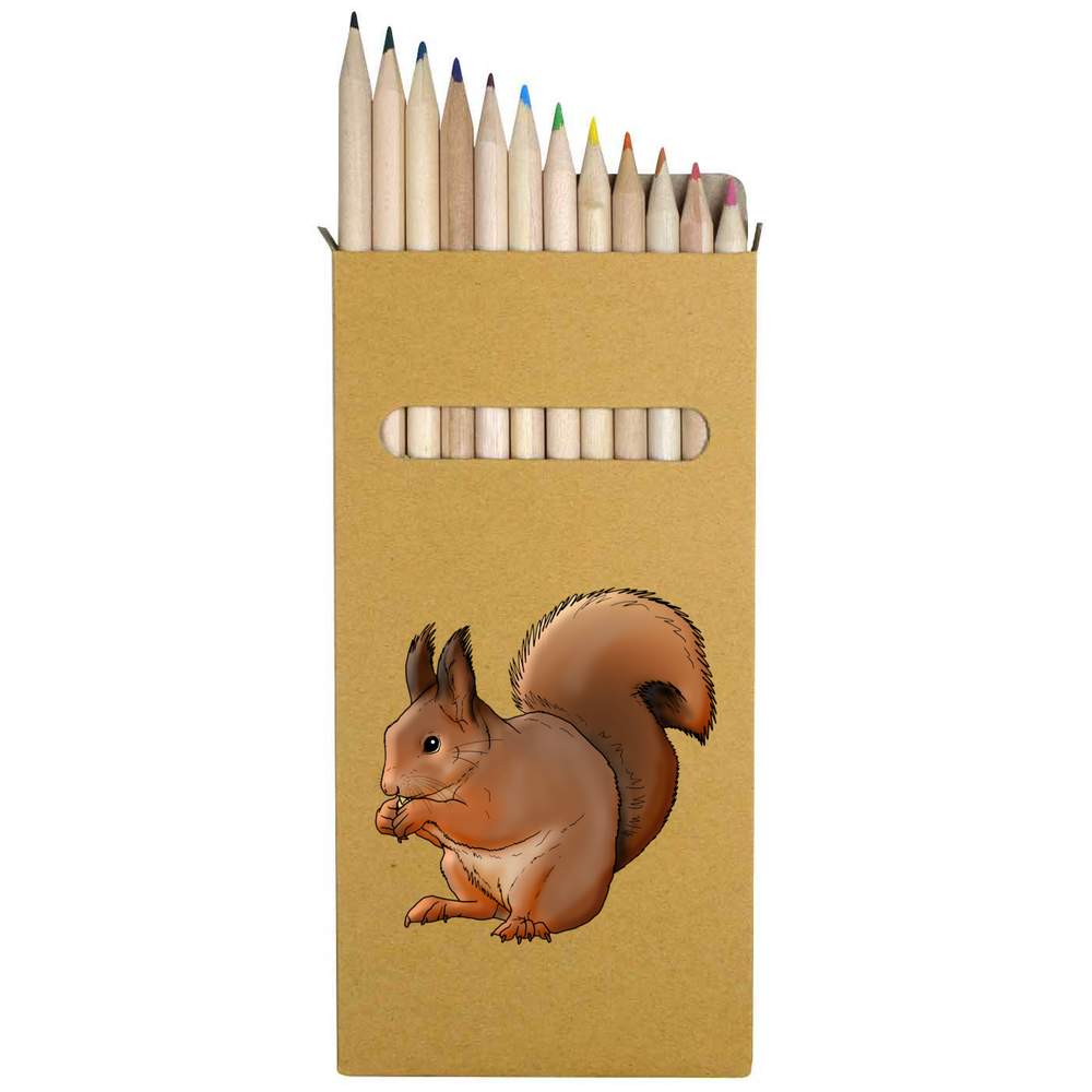 12 x 'Red Squirrel' Long 178mm Coloured Pencils / Pencil Set (PE00034586)