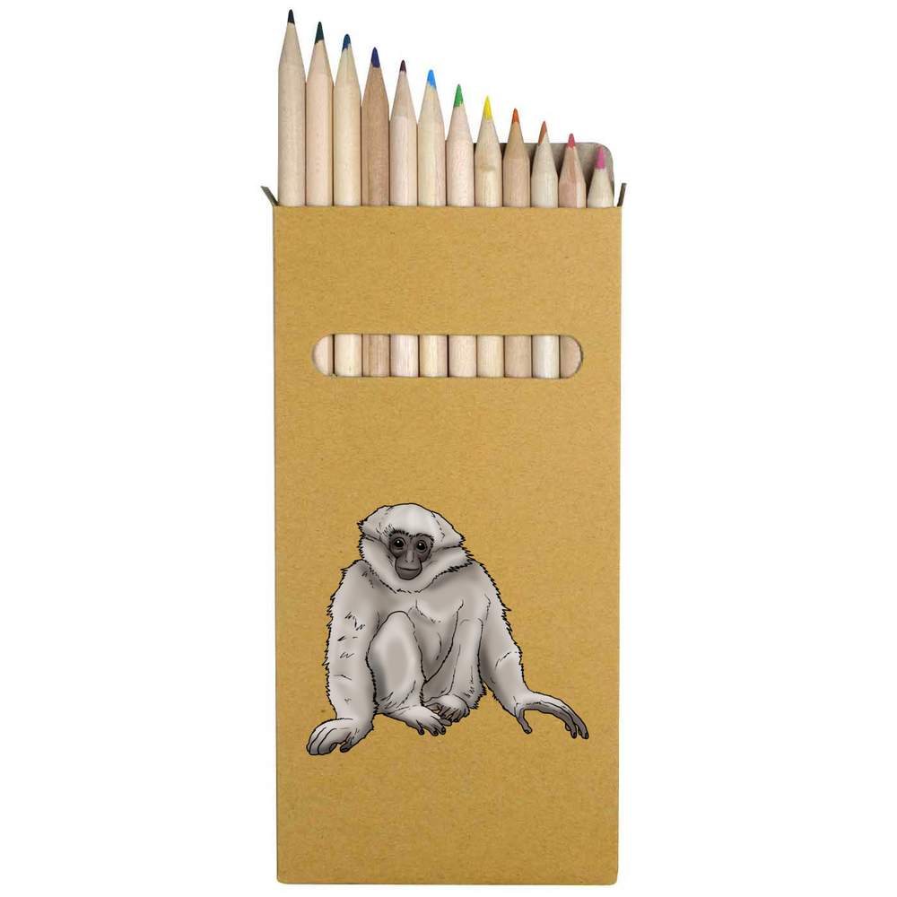 12 x 'Silvery Gibbon' Long 178mm Coloured Pencils / Pencil Set (PE00036909)