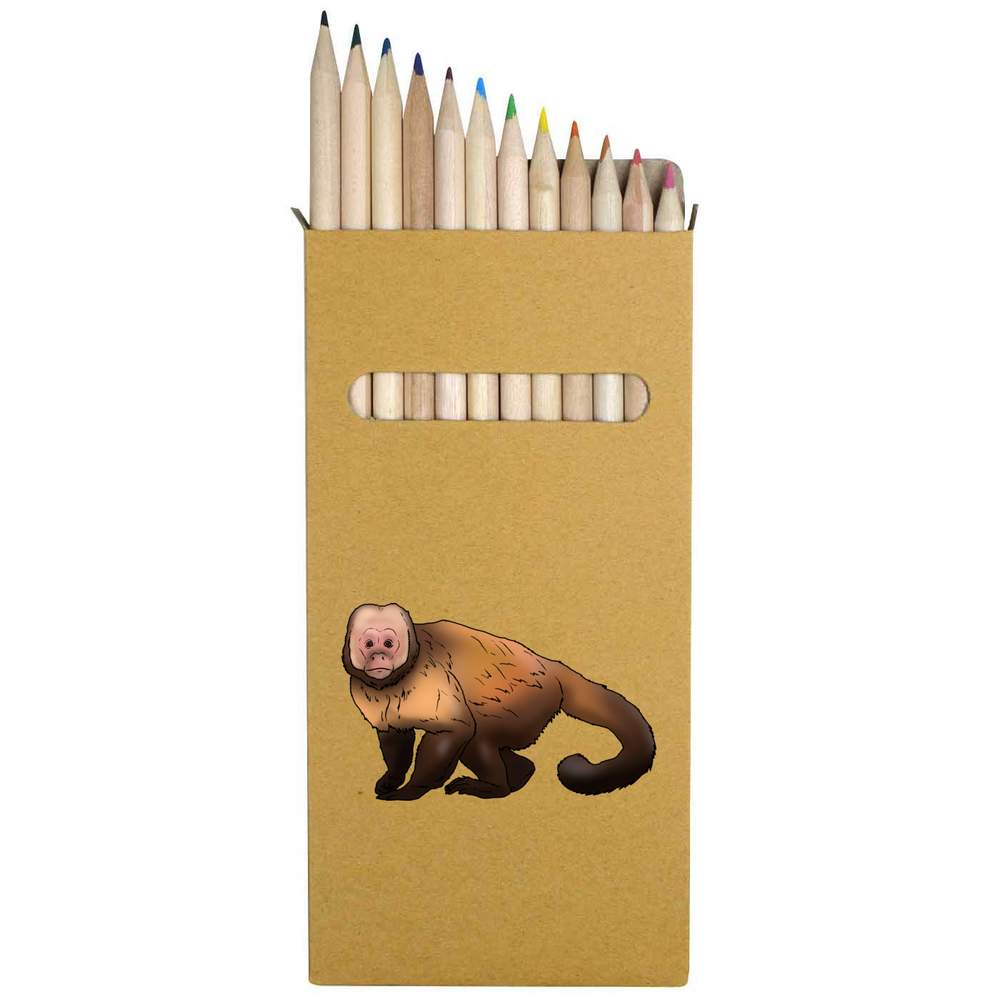 12 x 'Capuchin Monkey' Long 178mm Coloured Pencils / Pencil Set (PE00042347)