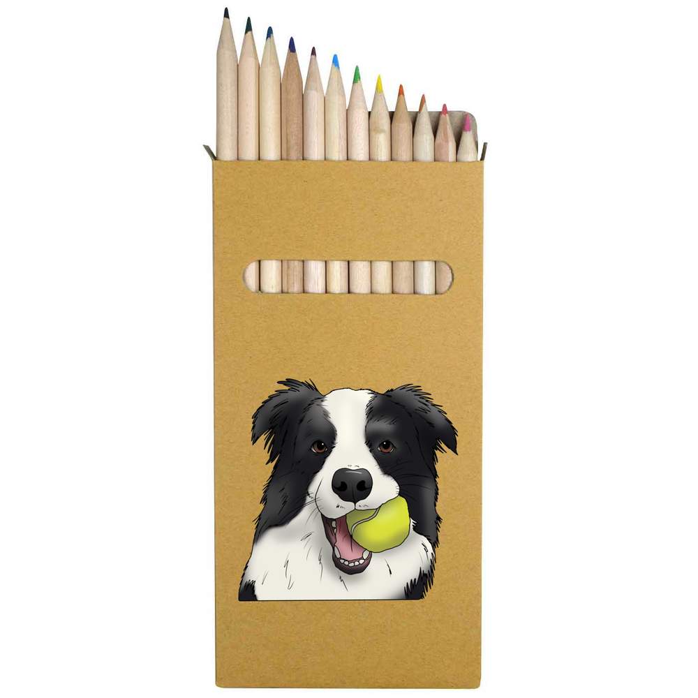 12 x 'Border Collie With Ball' Long 178mm Coloured Pencils / Pencil Set (PE00053051)