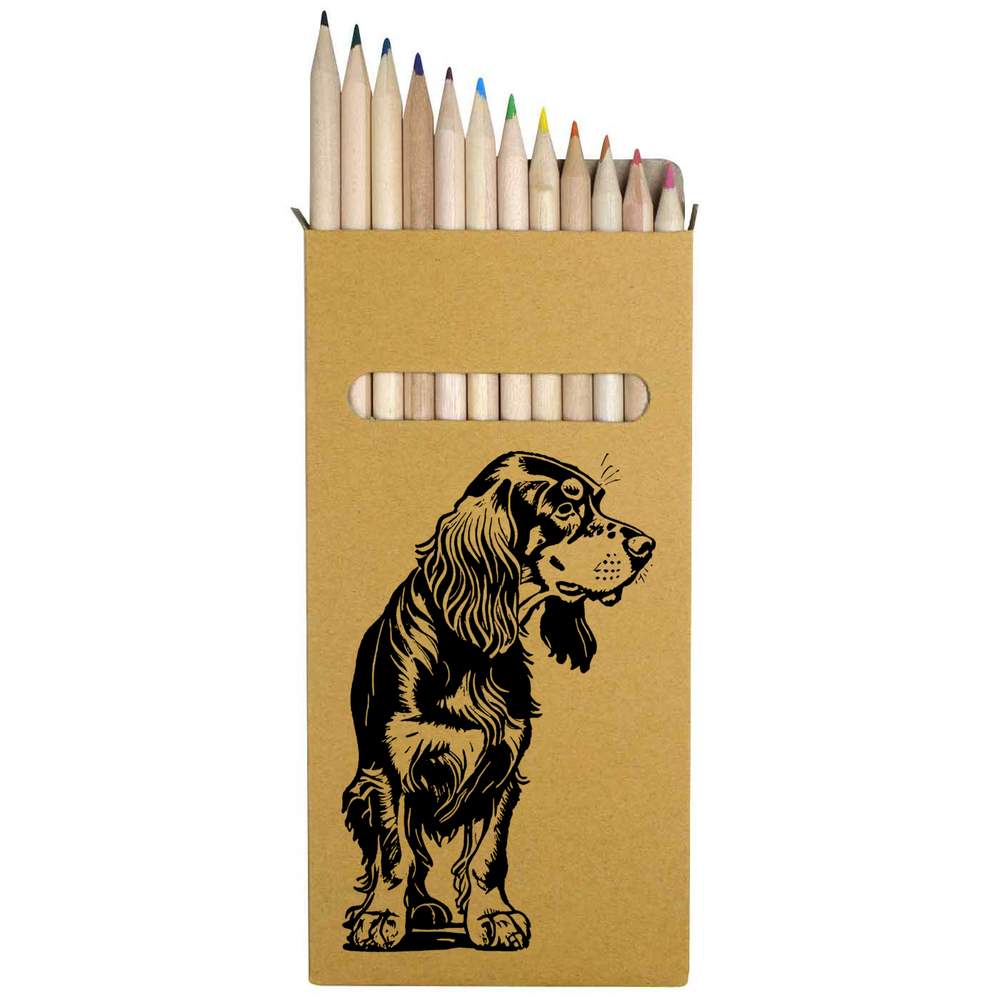 12 x 'Gordon Setter Standing' Long 178mm Coloured Pencils / Pencil Set (PE00062835)