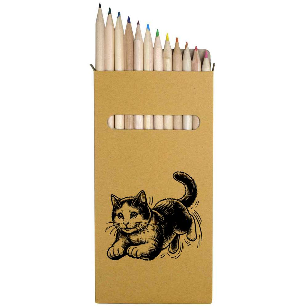 12 x 'Playful Cat' Long 178mm Coloured Pencils / Pencil Set (PE00064547)
