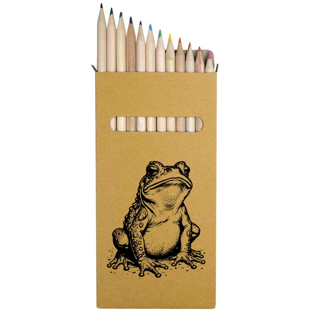 12 x 'Sitting Toad' Long 178mm Coloured Pencils / Pencil Set (PE00065903)