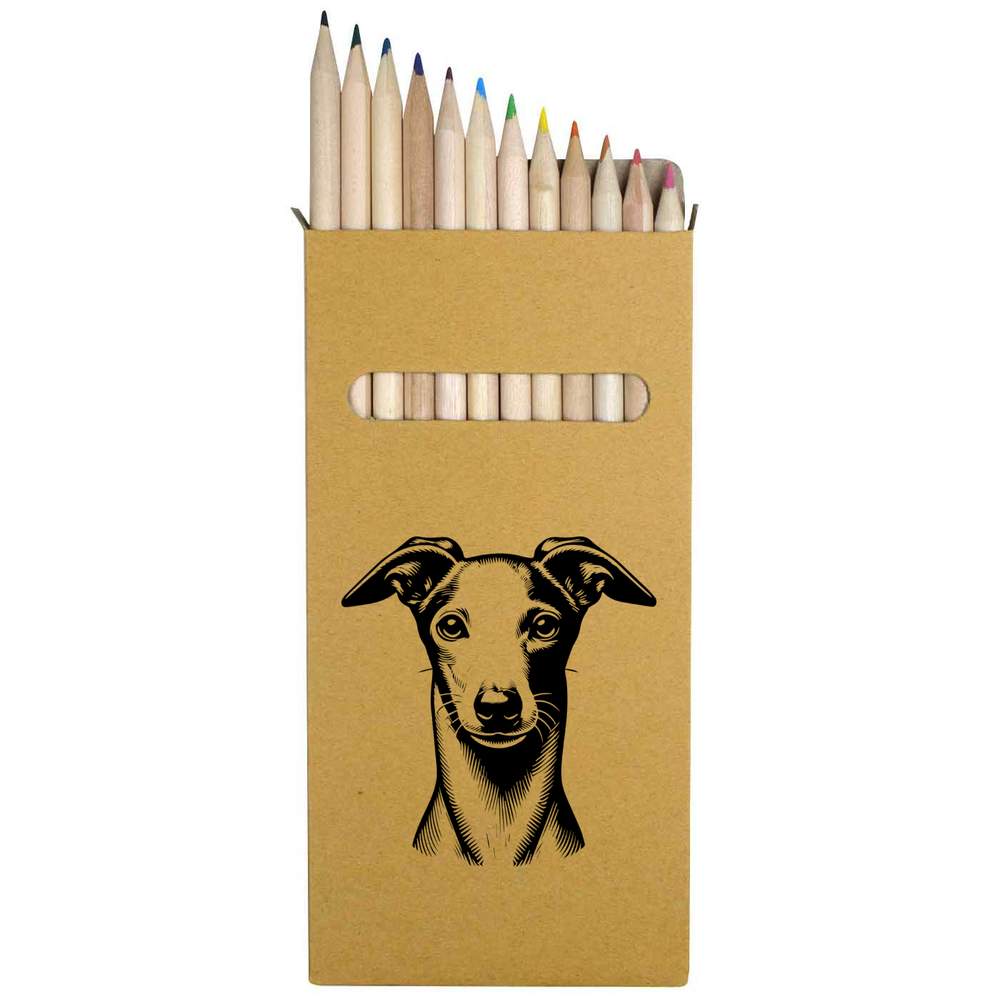 12 x 'Italian Greyhound' Long 178mm Coloured Pencils / Pencil Set (PE00067475)