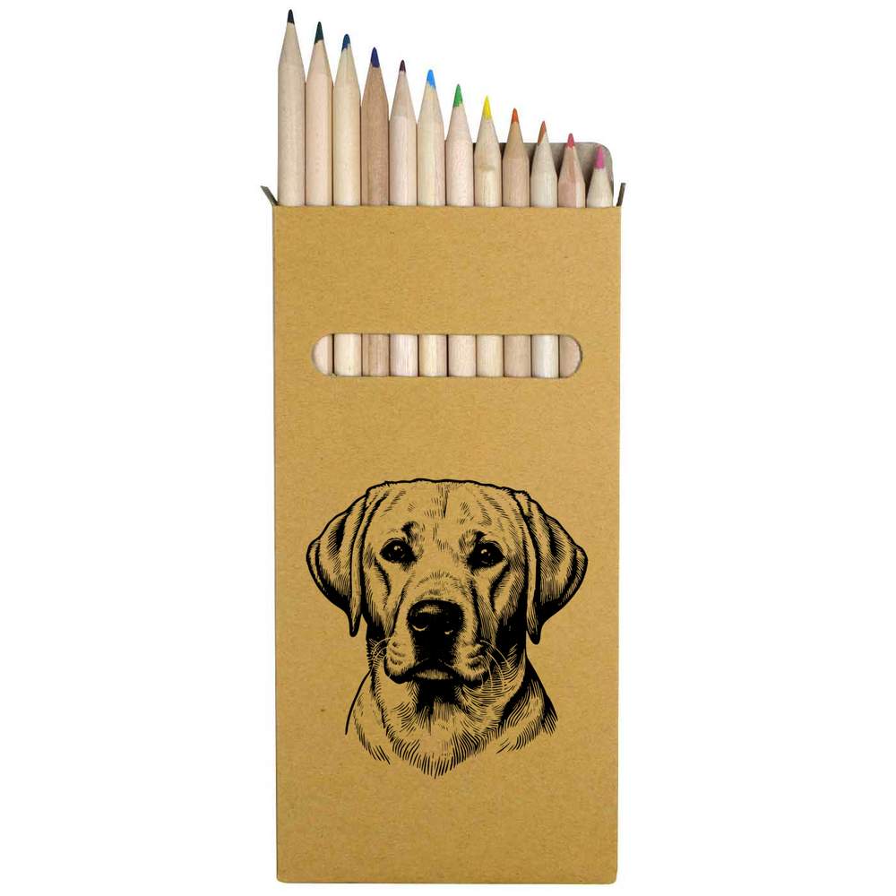 12 x 'Golden Labrador Dog' Long 178mm Coloured Pencils / Pencil Set (PE00069511)
