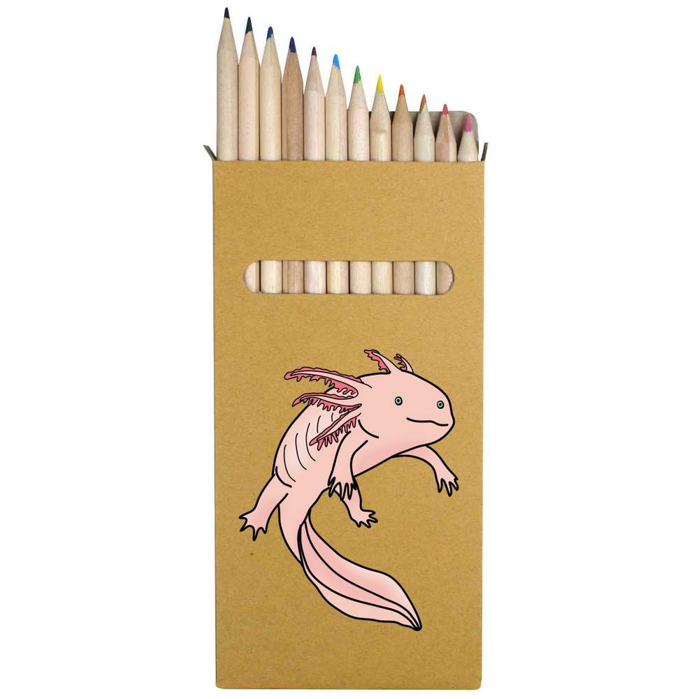 12 x 'Axolotl' Long 178mm Coloured Pencils / Pencil Set (PE00070141)