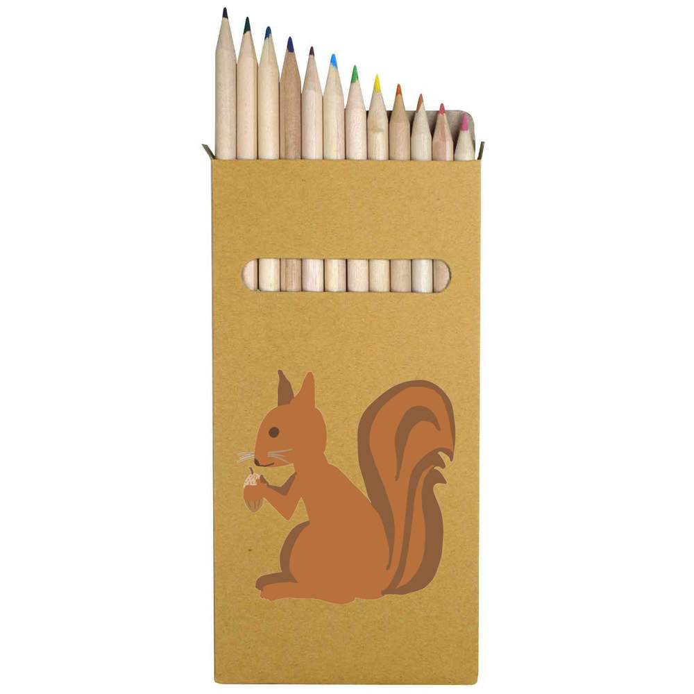 12 x 'Squirrel With Acorn' Long 178mm Coloured Pencils / Pencil Set (PE00070403)