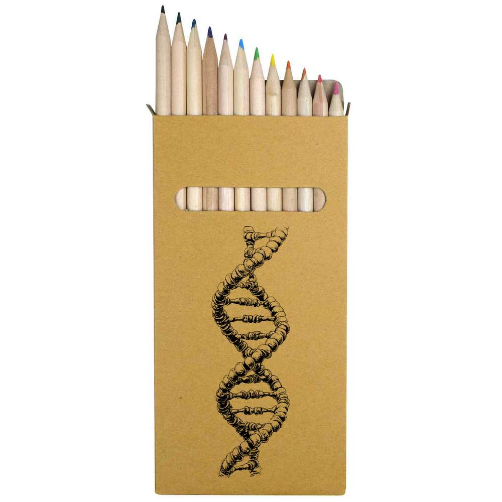12 x 'DNA Strand' Long 178mm Coloured Pencils / Pencil Set (PE00074385)