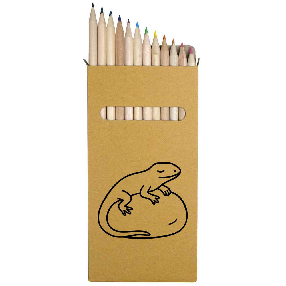 12 x 'Lizard' Long 178mm Coloured Pencils / Pencil Set (PE00077767)