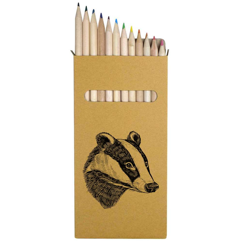 12 x 'Badger Portrait' Long 178mm Coloured Pencils / Pencil Set (PE00077947)