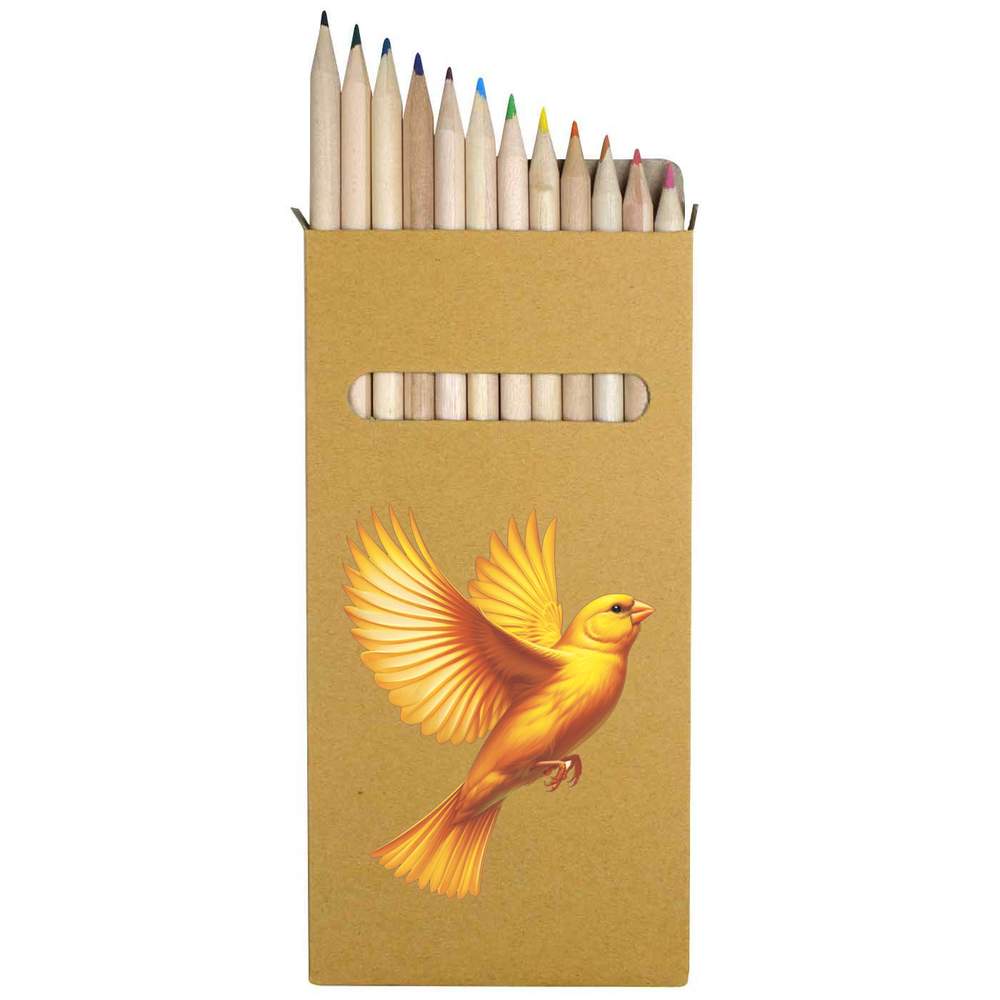 12 x 'Flying Canary' Long 178mm Coloured Pencils / Pencil Set (PE00091427)