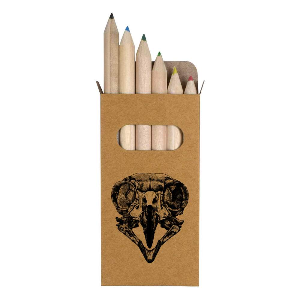 'Owl Skull' Coloured Pencil Sets (PE006328)