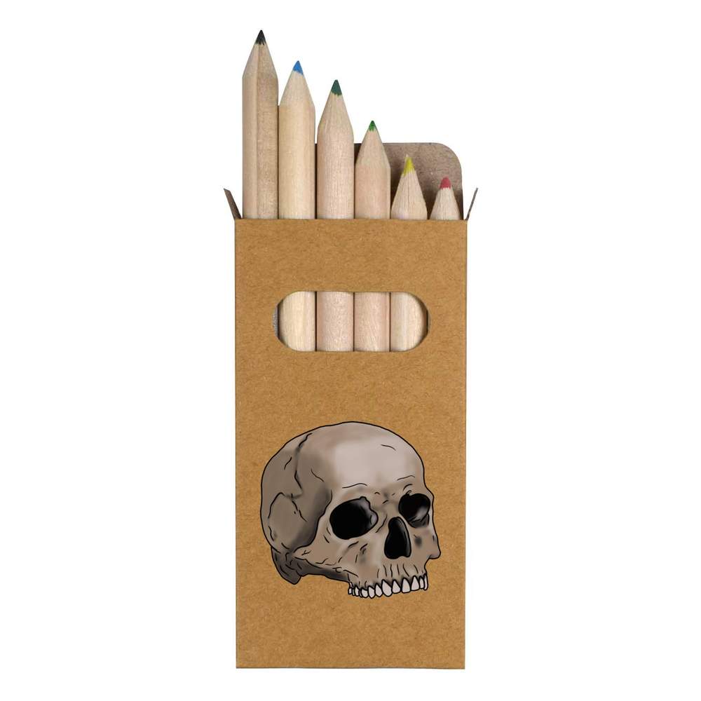 6 x 'Human Skull' Short 85mm Pencils / Coloured Pencil Set (PE00027003)