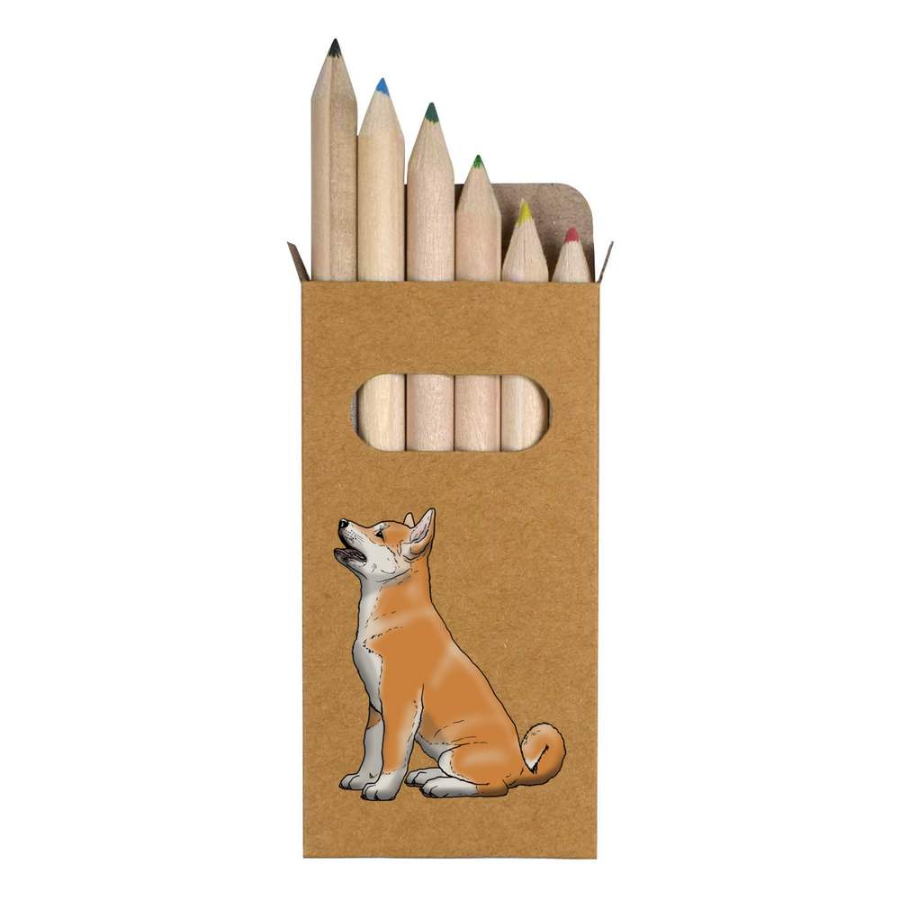 6 x 'Begging Akita Puppy' Short 85mm Pencils / Coloured Pencil Set (PE00032381)