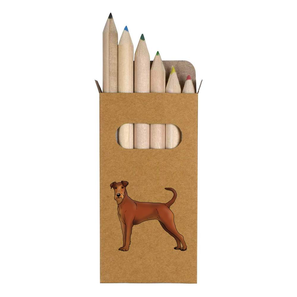 6 x 'Irish Terrier' Short 85mm Pencils / Coloured Pencil Set (PE00039572)
