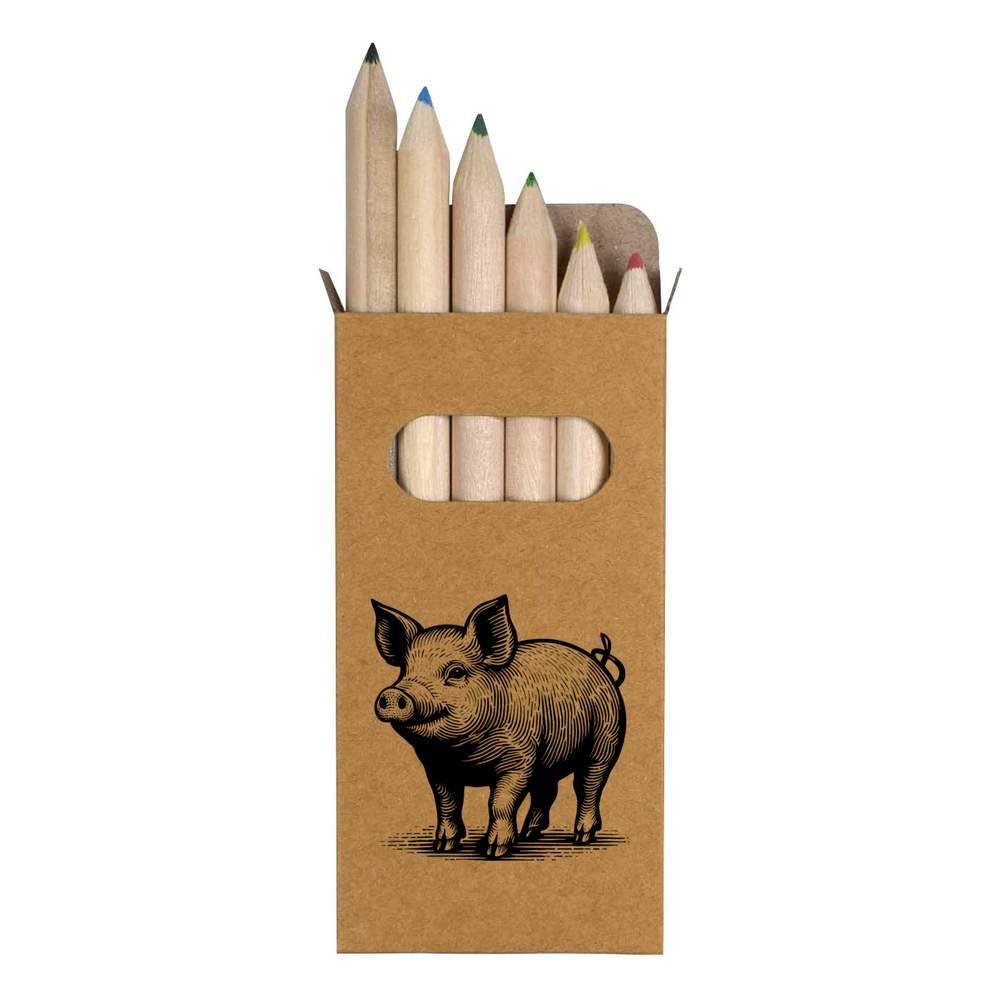 6 x 'Pig Illustration' Short 85mm Pencils / Coloured Pencil Set (PE00061662)