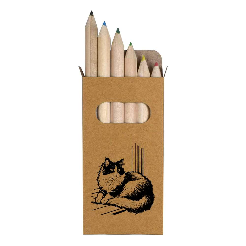 6 x 'British Longhair Cat' Short 85mm Pencils / Coloured Pencil Set (PE00062734)