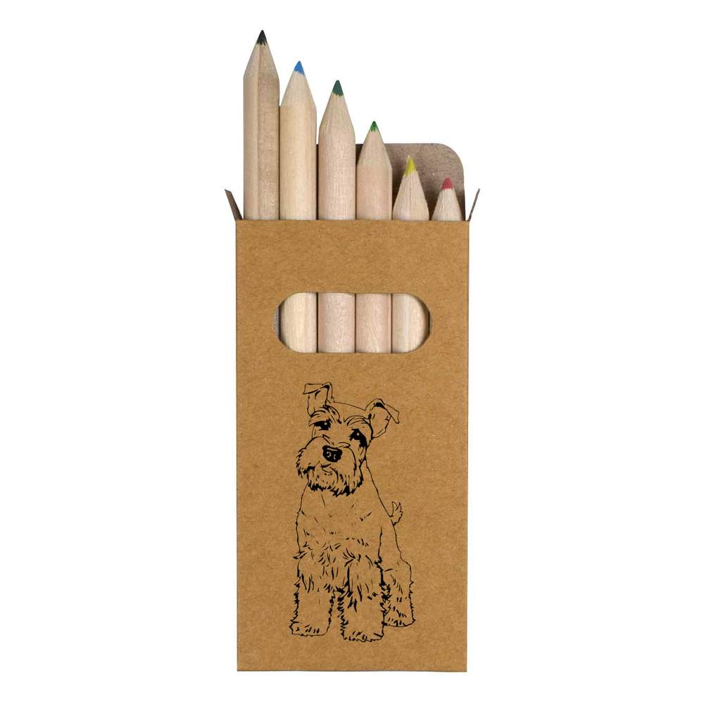 6 x 'Schnauzer Puppy' Short 85mm Pencils / Coloured Pencil Set (PE00070786)