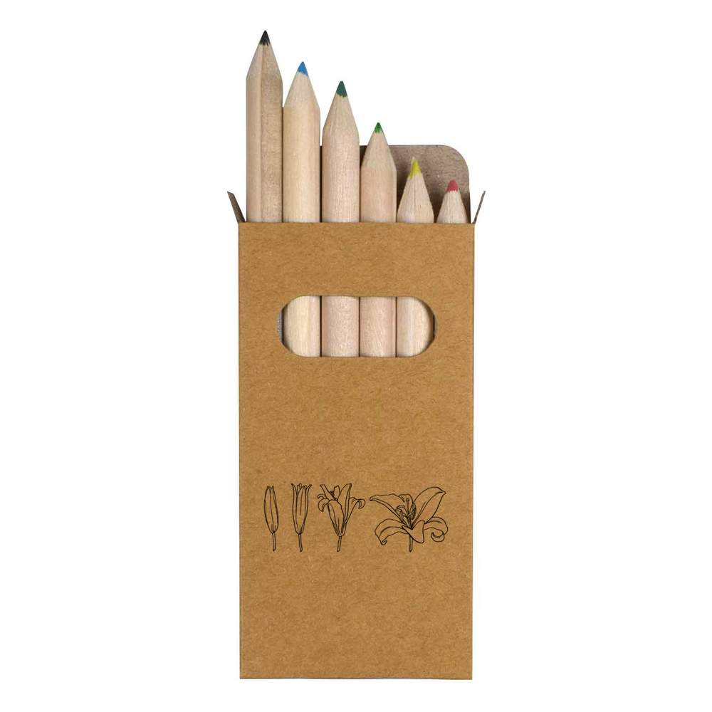 6 x 'Bloom Lily' Short 85mm Pencils / Coloured Pencil Set (PE00070810)