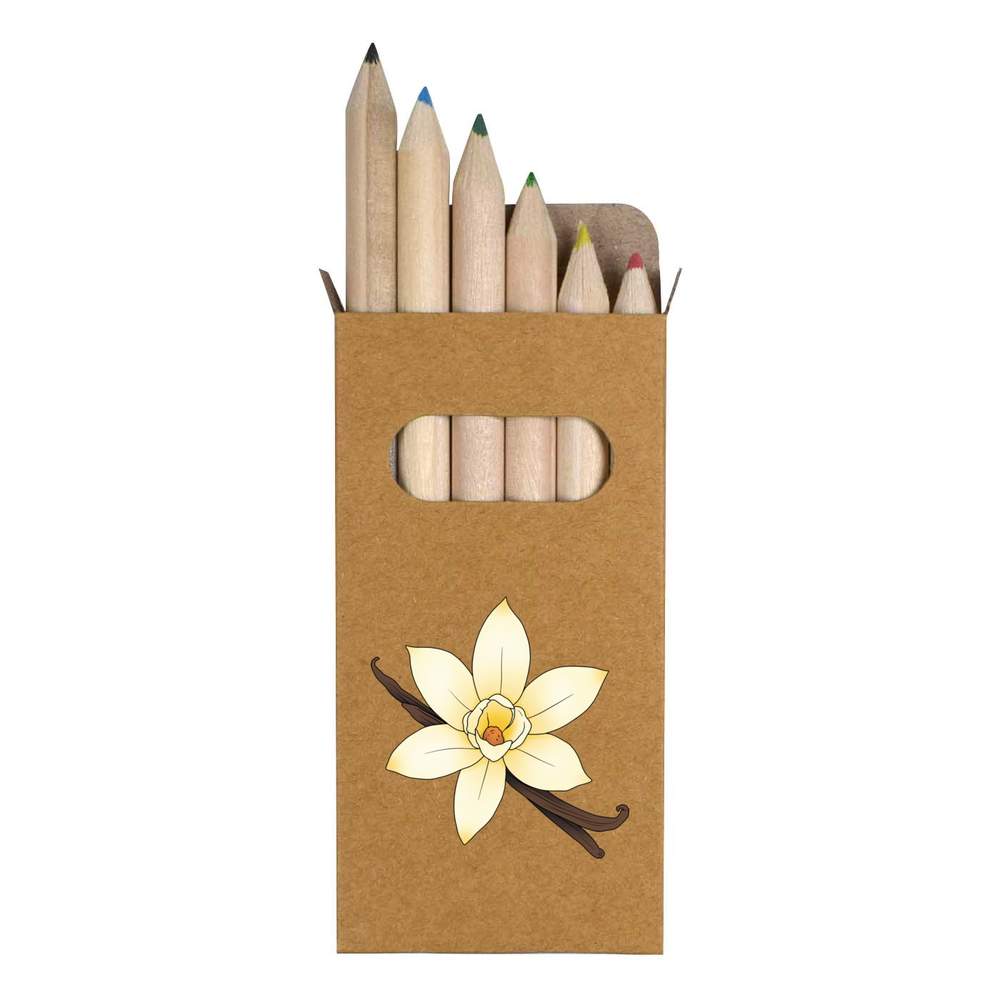 6 x 'Vanilla Pod & Flower' Short 85mm Pencils / Coloured Pencil Set (PE00078442)