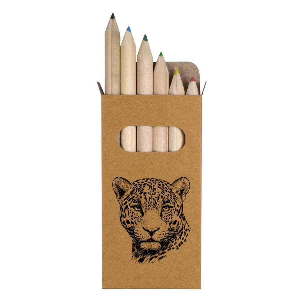 6 x 'African Leopard Portrait' Short 85mm Pencils / Coloured Pencil Set (PE00080954)