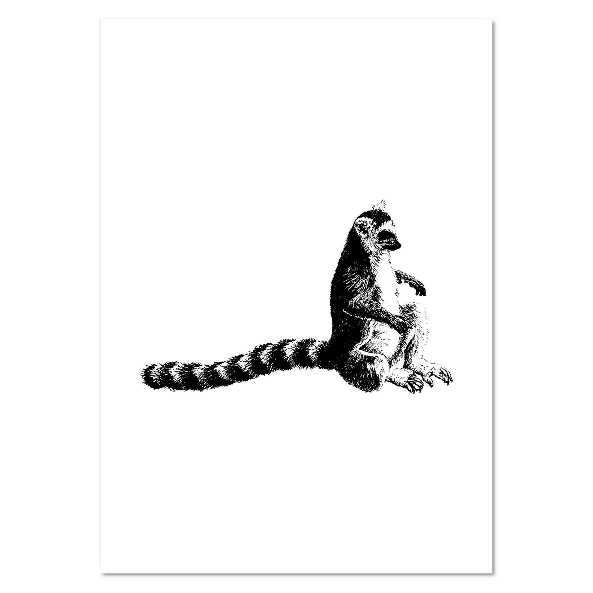 A0+ 'Ring Tailed Lemur' Wall Poster / Print (PP00093074)