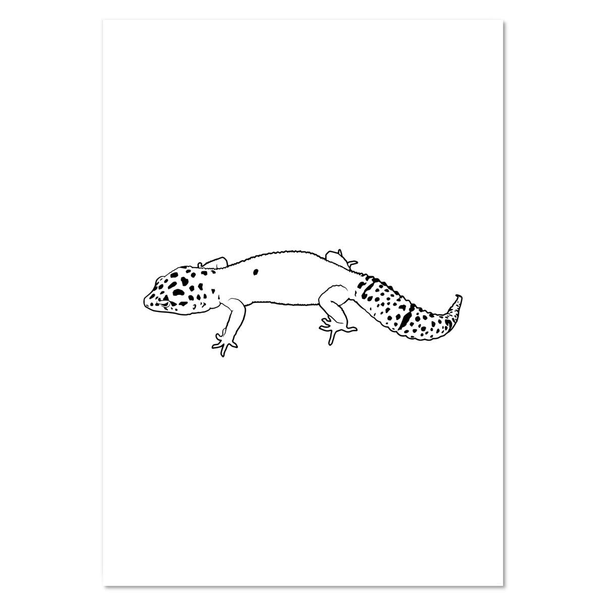 A0+ 'Leopard Gecko' Wall Poster / Print (PP00101682)