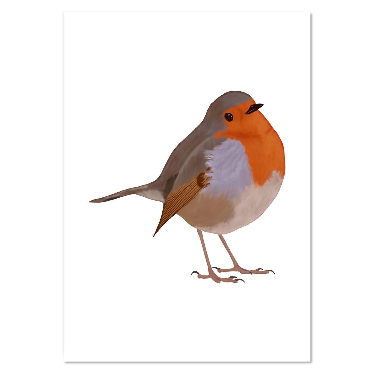 A0+ 'Robin' Wall Poster / Print (PP00123702)