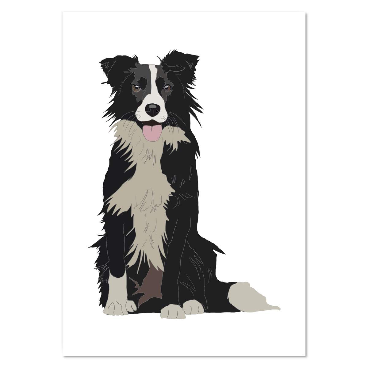 A0+ 'Border Collie' Wall Poster / Print (PP00138322)