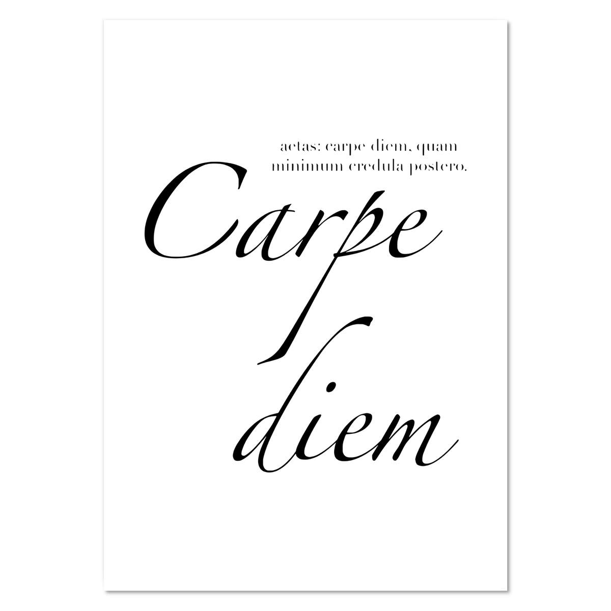 A0+ 'Carpe Diem Seize the Day Latin Quote Poem Poetry' Wall Poster / Print (PP00240477)