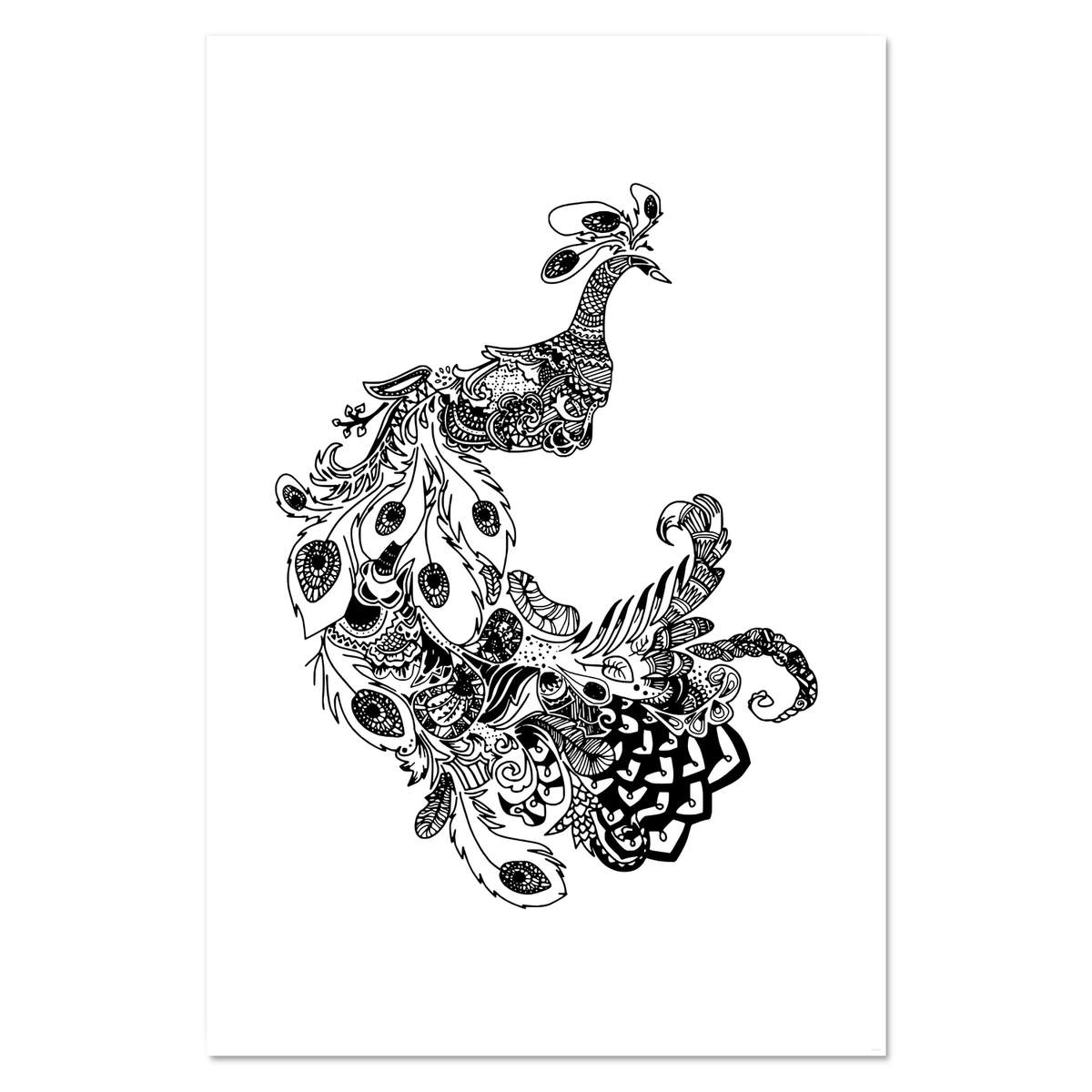 Super A1 'Detailed Peacock' Wall Poster / Print (PP00089709)