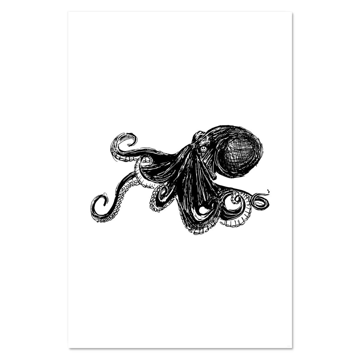 Super A1 'Octopus' Wall Poster / Print (PP00096077)
