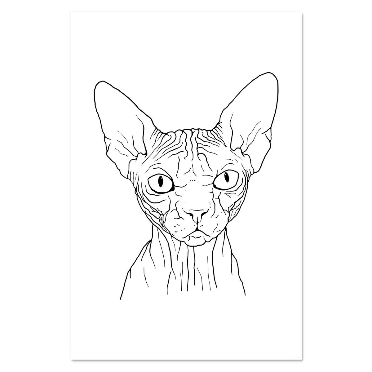 Super A1 'Sphynx Cat' Wall Poster / Print (PP00139149)