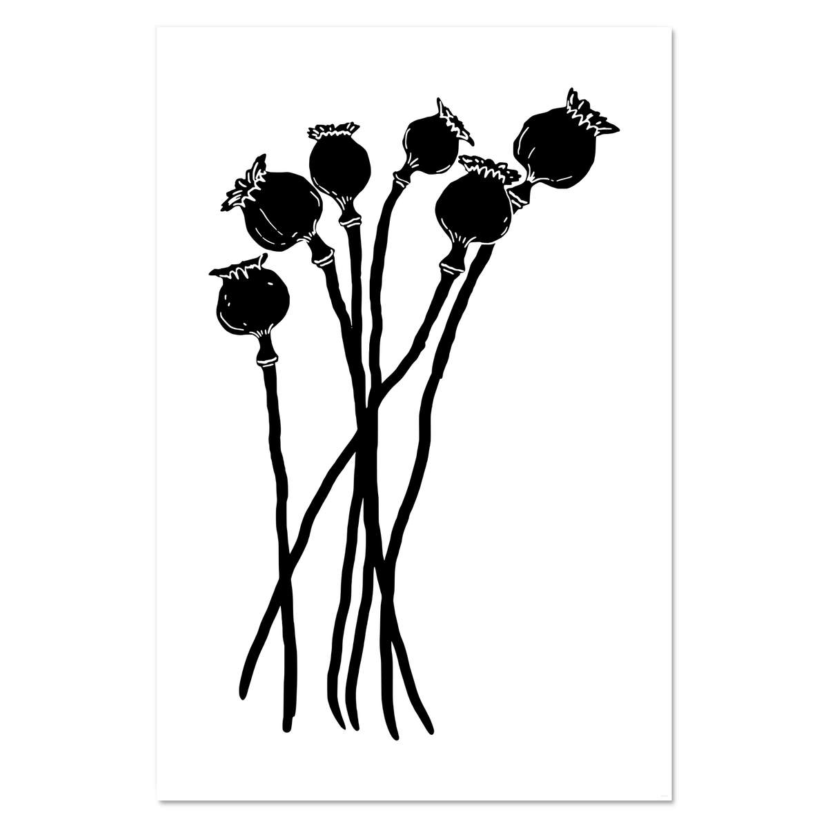 Super A1 'Poppy Seed Heads' Wall Poster / Print (PP00139393)