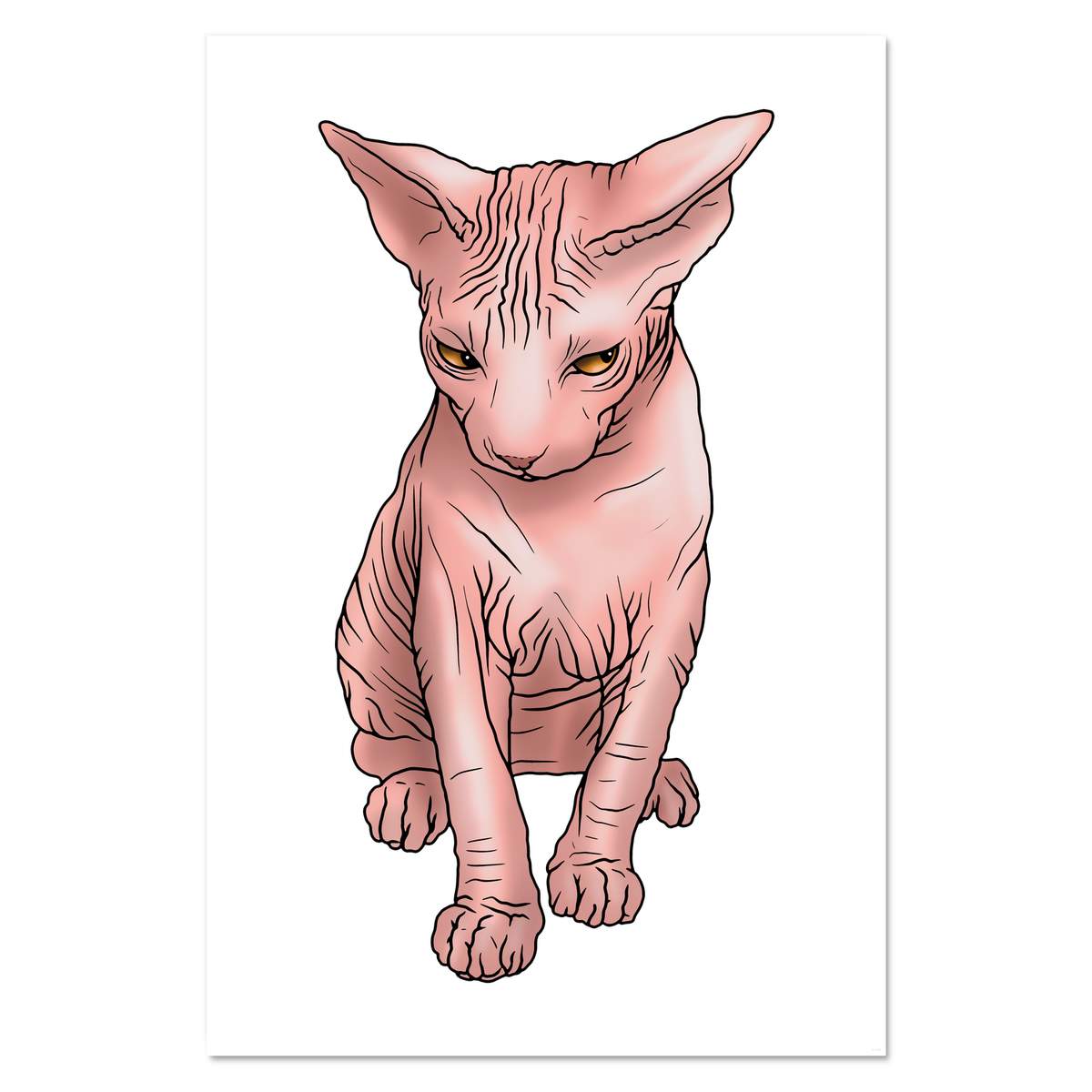Super A1 'Grumpy Sphynx Cat' Wall Poster / Print (PP00178992)