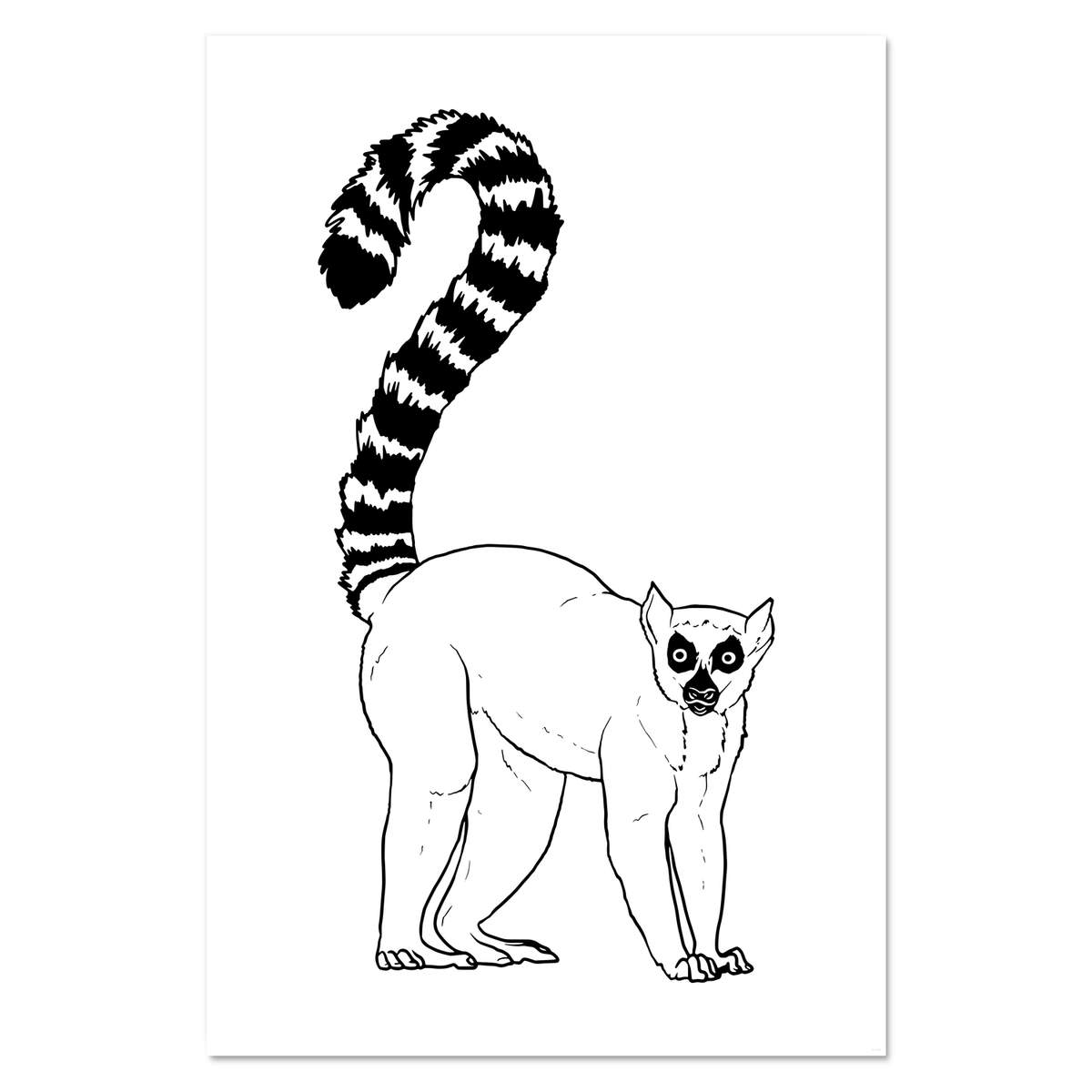 Super A1 'Ring-Tailed Lemur' Wall Poster / Print (PP00179898)