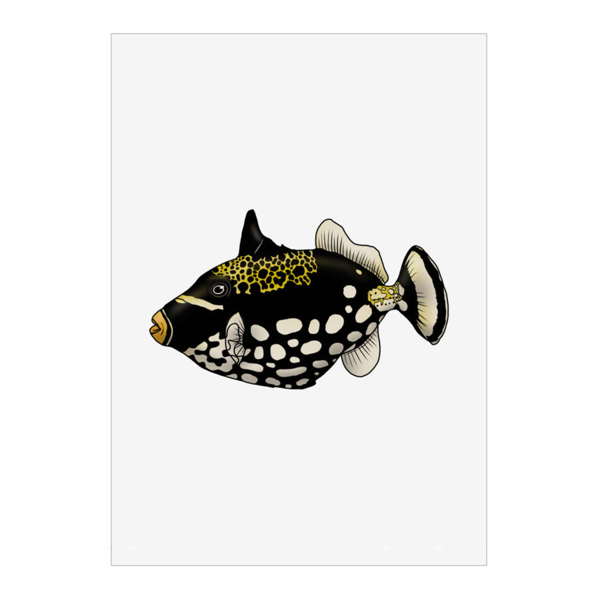 'Clown Triggerfish' Wall Art Poster - A1 Portrait - Unframed Wall Art Print for Home Decor - 914mm / 36in (PP00190288)