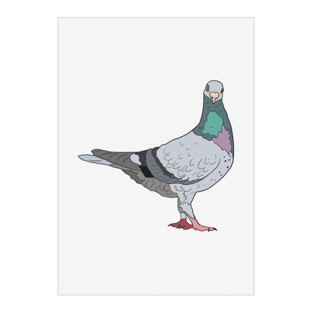 'What U Looking At? Pigeon' Wall Art Poster - A1 Portrait - Unframed Wall Art Print for Home Decor - 914mm / 36in (PP00239942)