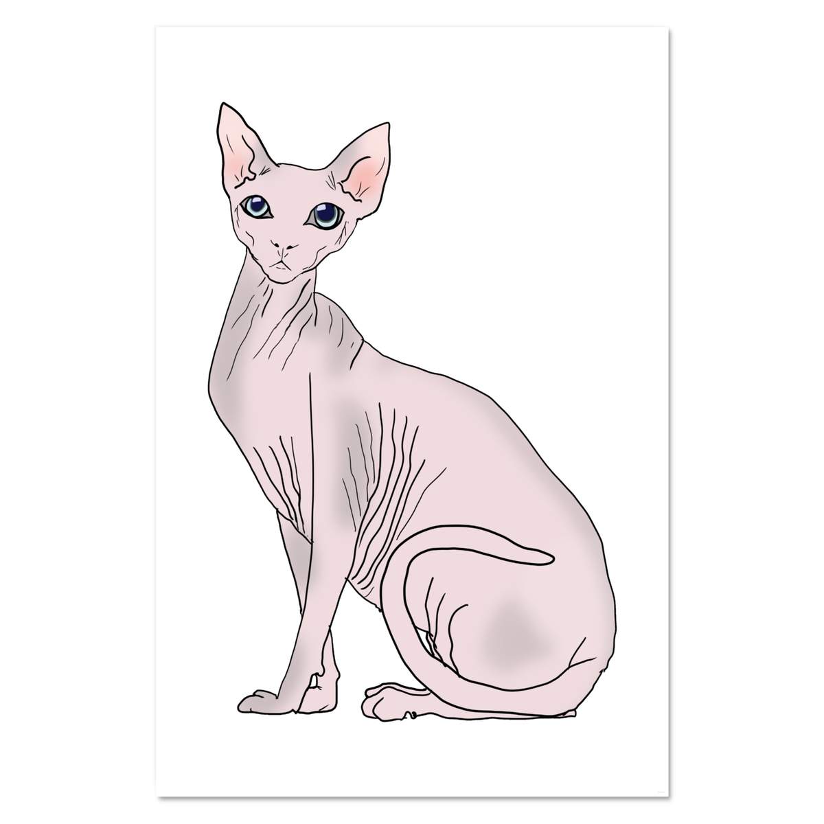 Super A1 'Sphynx Cat' Wall Poster / Print (PP00256647)
