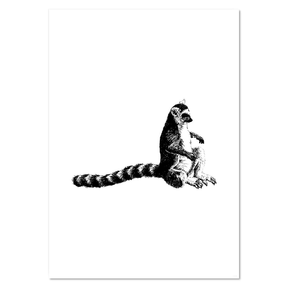 A2 'Ring Tailed Lemur' Wall Poster / Print (PP00080428)