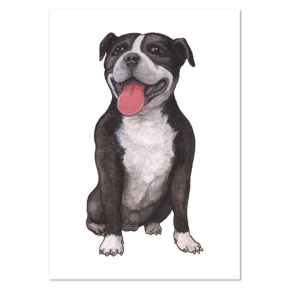A2 'Staffordshire Bull Terrier' Wall Poster / Print (PP00132960)