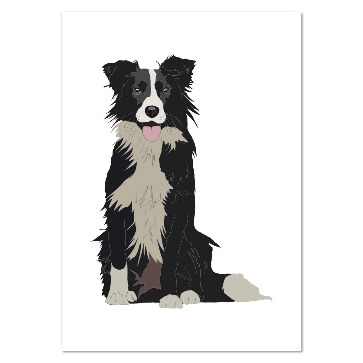 A2 'Border Collie' Wall Poster / Print (PP00138316)