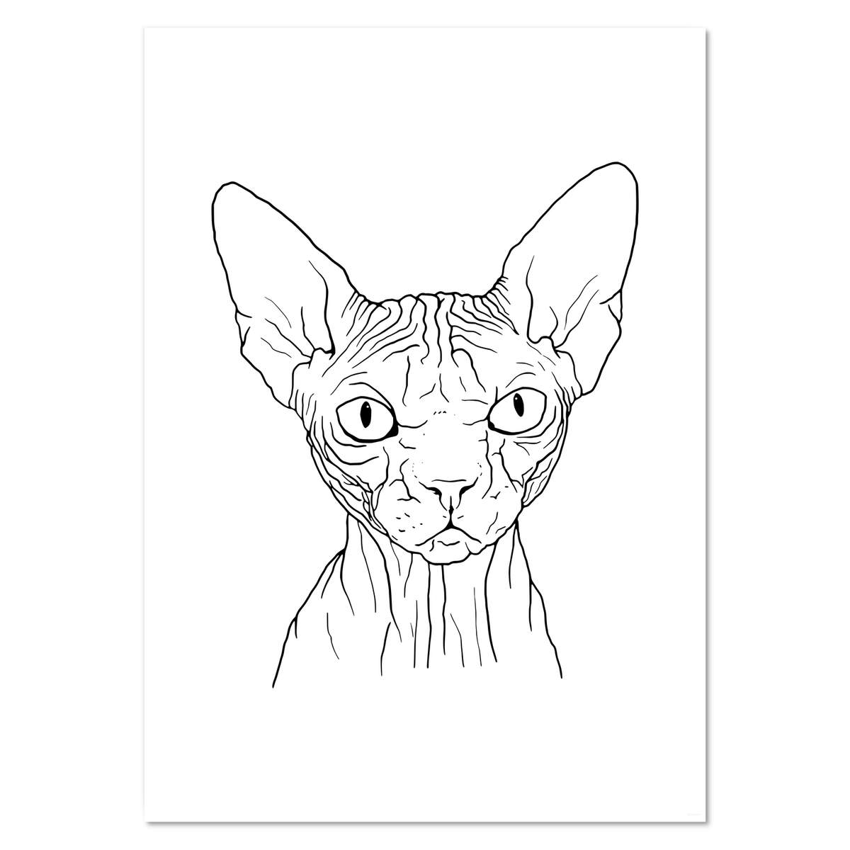 A2 'Sphynx Cat' Wall Poster / Print (PP00139144)