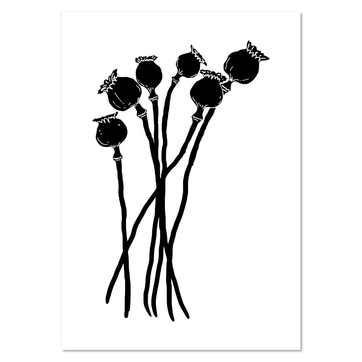A2 'Poppy Seed Heads' Wall Poster / Print (PP00139388)