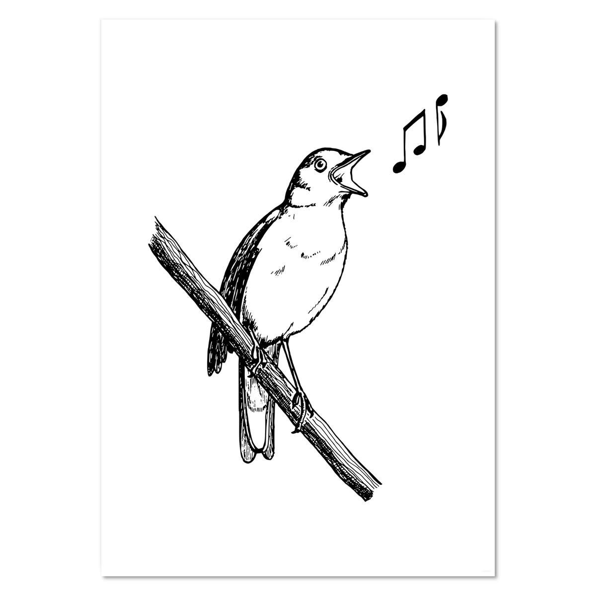 A2 'Common Nightingale' Wall Poster / Print (PP00190821)