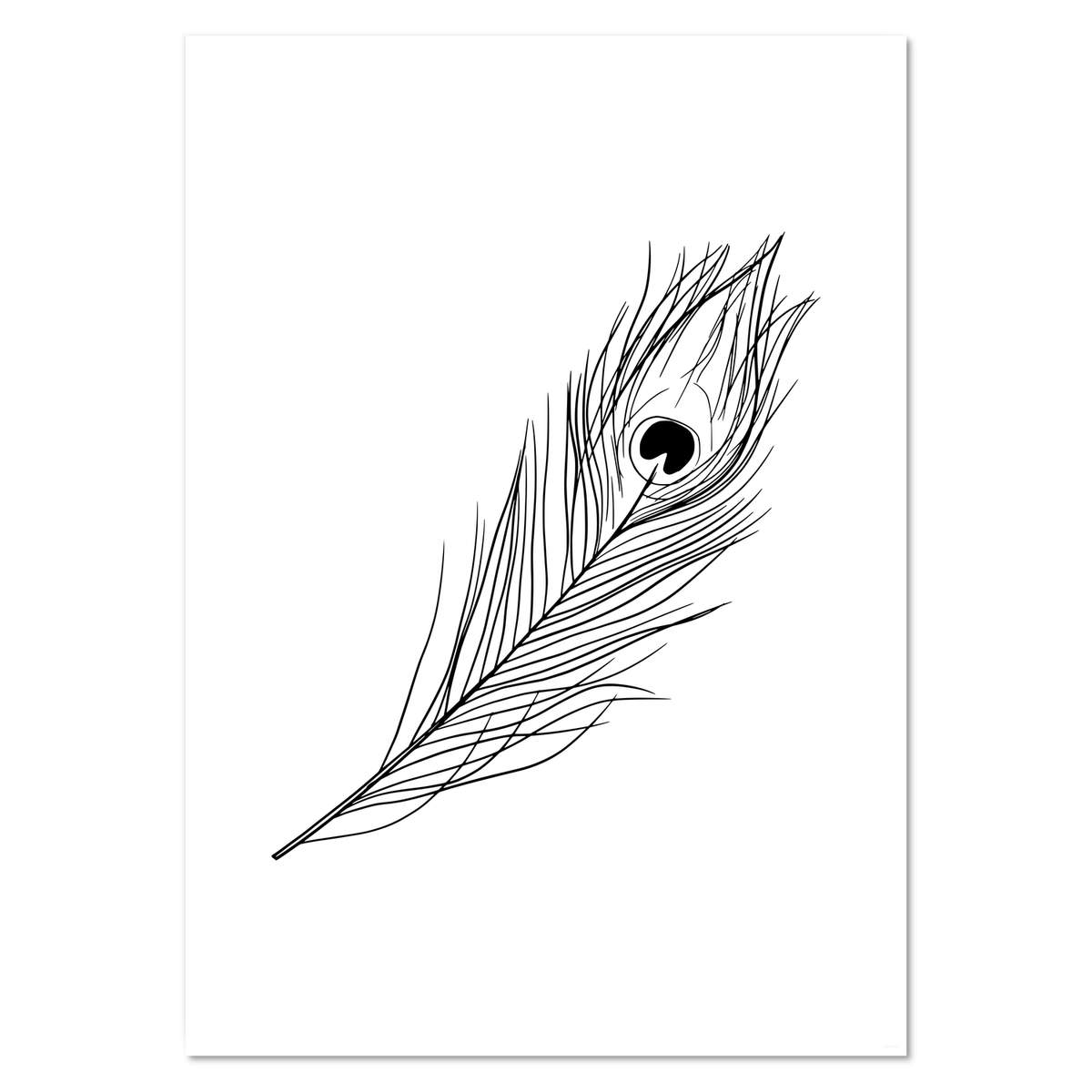 A2 'Peacock Feather' Wall Poster / Print (PP00191181)