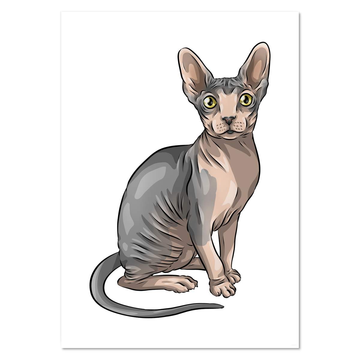 A2 'Sphynx Cat' Wall Poster / Print (PP00194481)